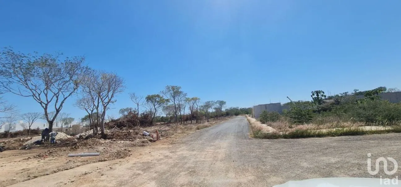 Terreno en Venta en Real Montejo, Mérida, Yucatán | NEX-231282 | iad México | Foto 12 de 14