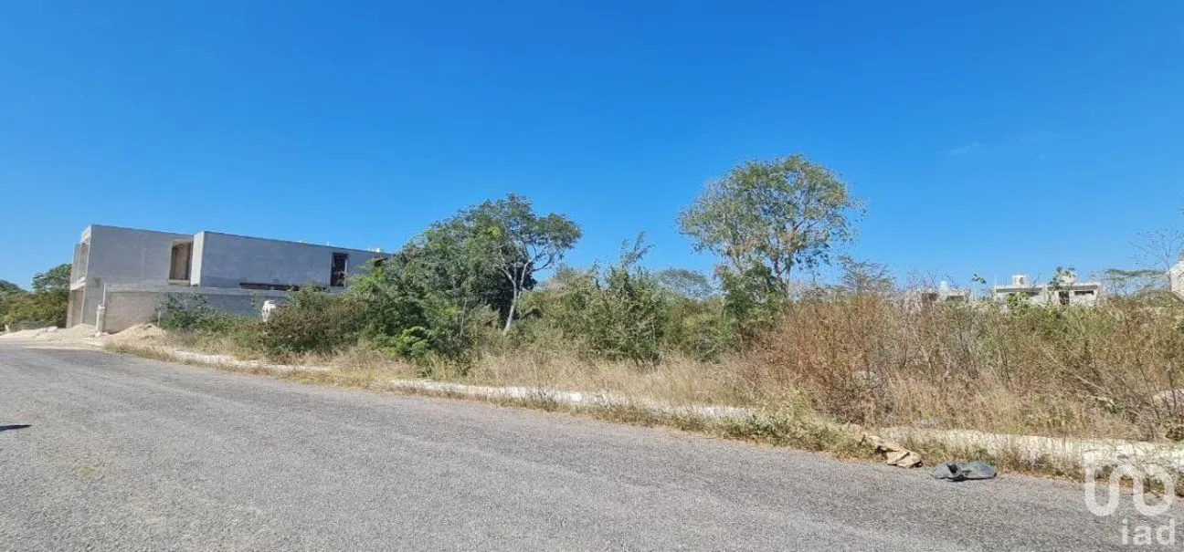Terreno en Venta en Real Montejo, Mérida, Yucatán | NEX-231282 | iad México | Foto 13 de 14