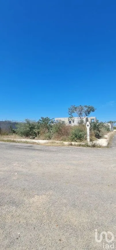 Terreno en Venta en Real Montejo, Mérida, Yucatán | NEX-231282 | iad México | Foto 4 de 14