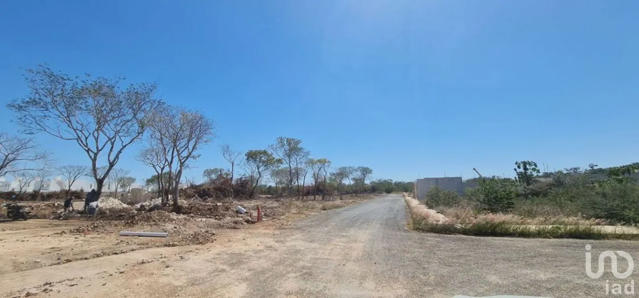 Terreno en Venta en Real Montejo, Mérida, Yucatán | NEX-231282 | iad México | Foto 6 de 14
