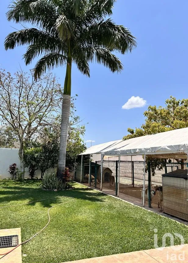 Casa en Venta en Conkal, Conkal, Yucatán | NEX-232220 | iad México | Foto 27 de 36