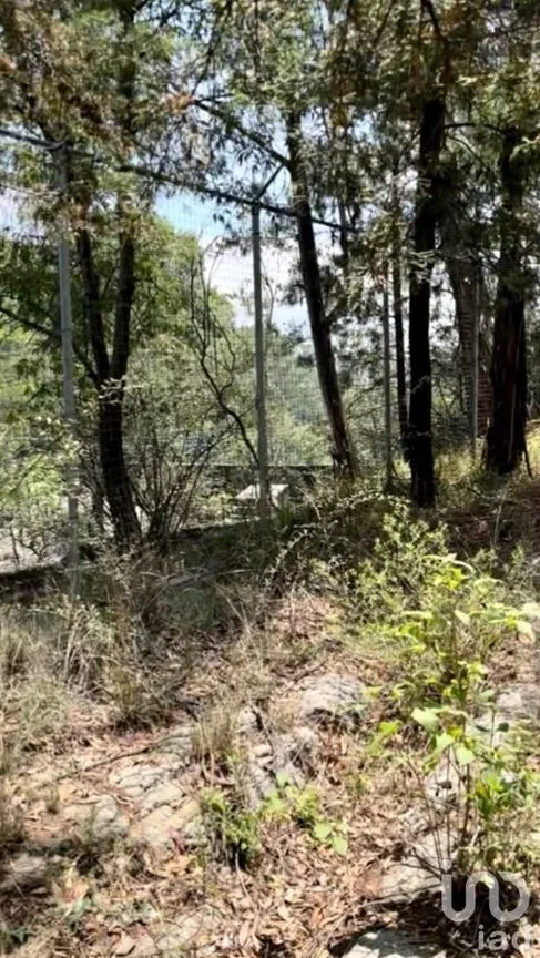 Terreno en Venta en Vista del Valle Sección Bosques, Naucalpan de Juárez, Estado De México | NEX-232010 | iad México | Foto 11 de 14