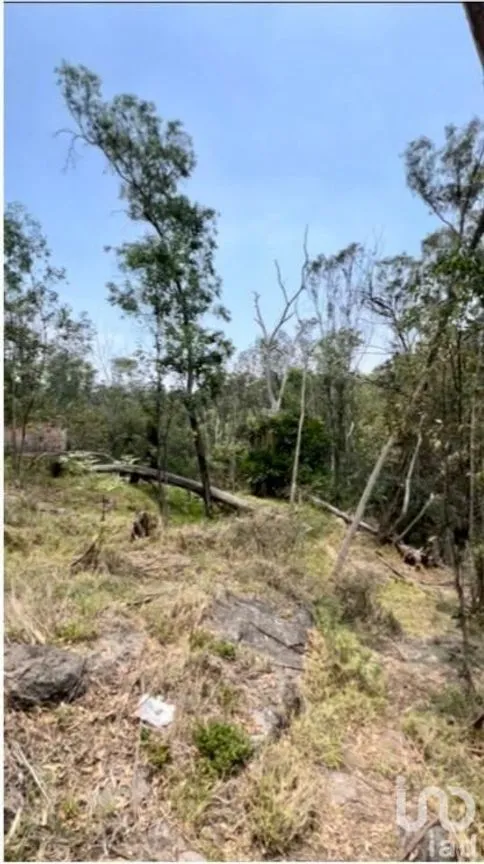 Terreno en Venta en Vista del Valle Sección Bosques, Naucalpan de Juárez, Estado De México | NEX-232010 | iad México | Foto 3 de 14