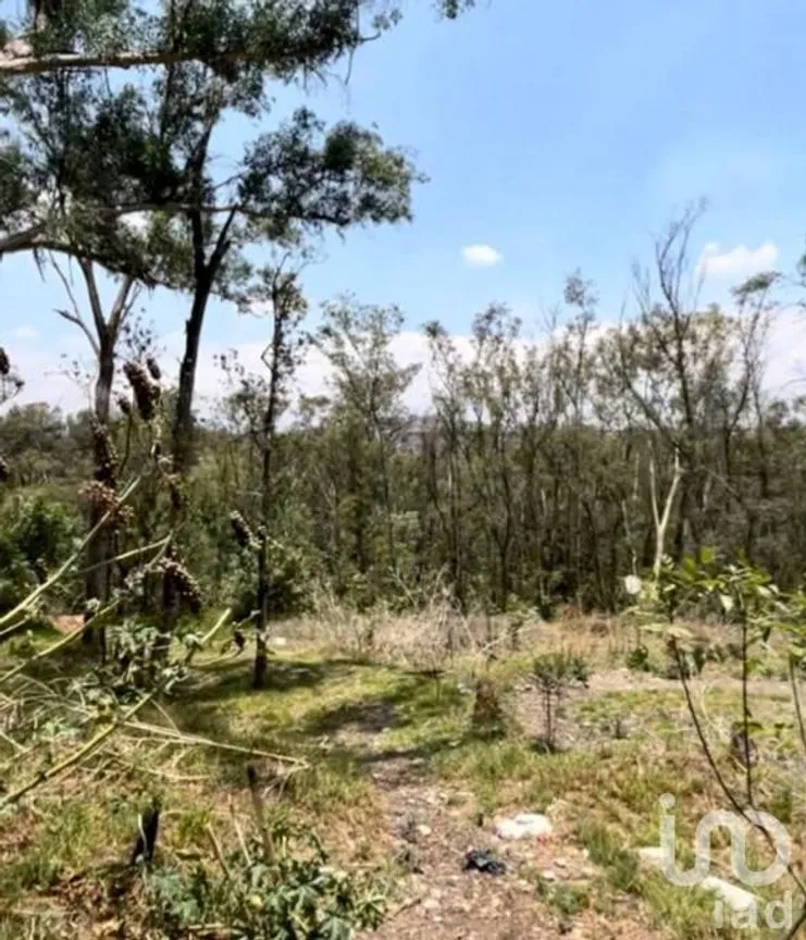 Terreno en Venta en Vista del Valle Sección Bosques, Naucalpan de Juárez, Estado De México | NEX-232010 | iad México | Foto 4 de 14