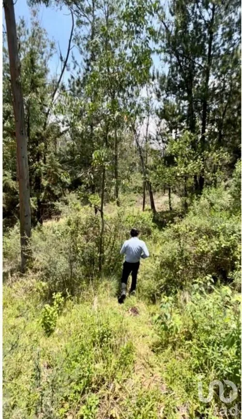 Terreno en Venta en Vista del Valle Sección Bosques, Naucalpan de Juárez, Estado De México | NEX-232010 | iad México | Foto 5 de 14