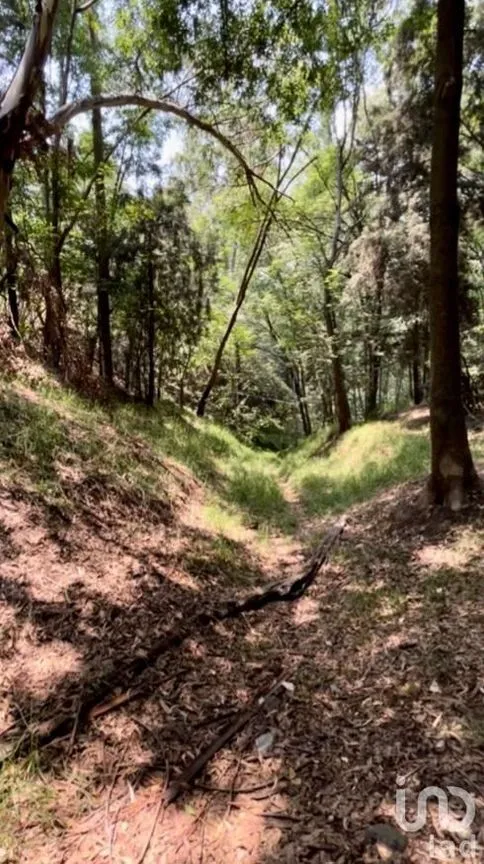 Terreno en Venta en Vista del Valle Sección Bosques, Naucalpan de Juárez, Estado De México | NEX-232010 | iad México | Foto 6 de 14