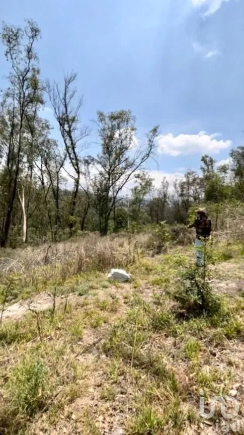 Terreno en Venta en Vista del Valle Sección Bosques, Naucalpan de Juárez, Estado De México | NEX-232010 | iad México | Foto 9 de 14