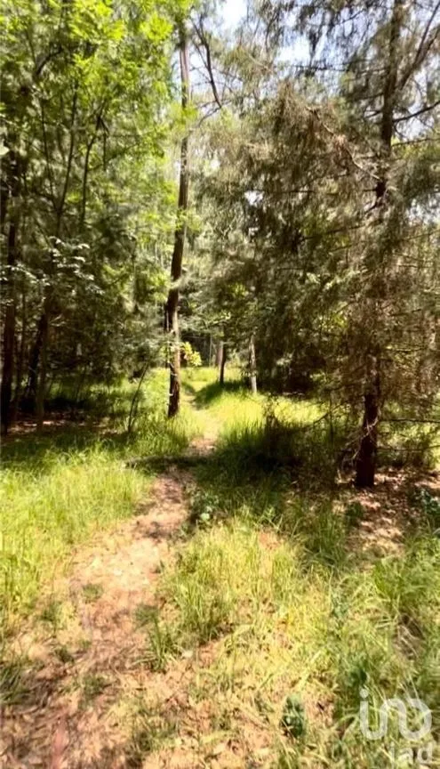 Terreno en Venta en Vista del Valle Sección Bosques, Naucalpan de Juárez, Estado De México | NEX-232010 | iad México | Foto 10 de 14