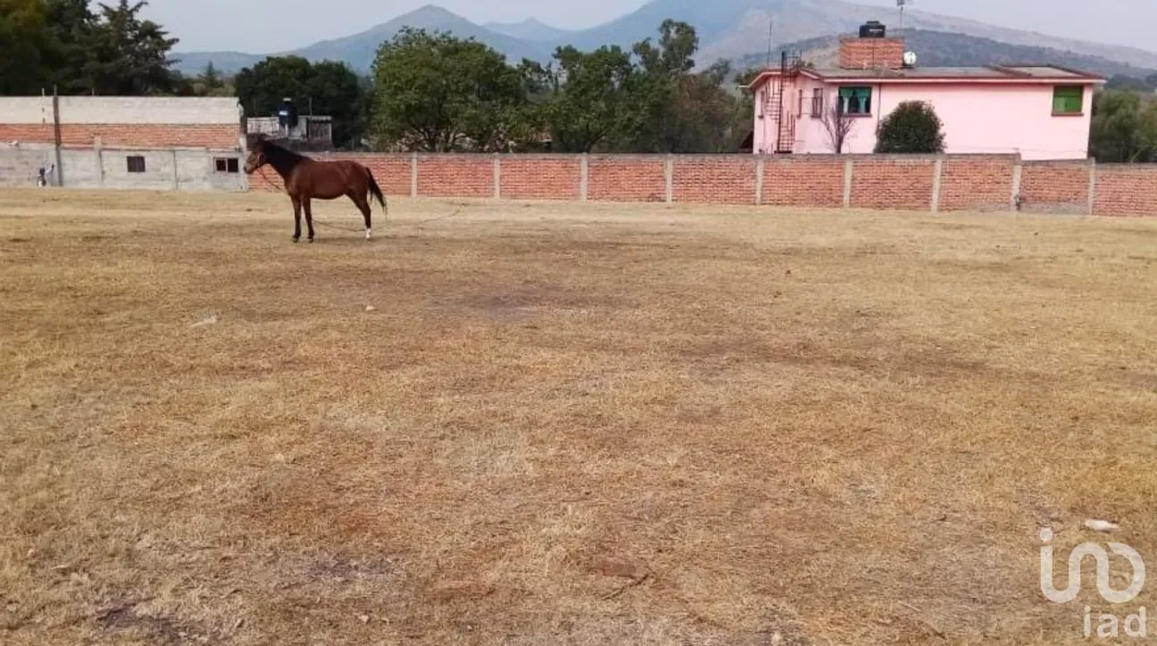 Terreno en Venta en Santiago Cuautlalpan, Tepotzotlán, Estado De México | NEX-232019 | iad México | Foto 3 de 4