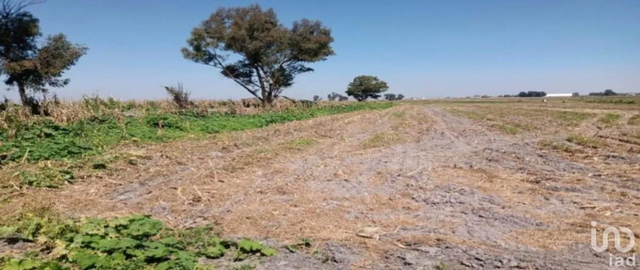 Terreno en Venta en Santa María Tonanitla, Tonanitla, Estado de México | NEX-276252 | iad México | Foto 8 de 9