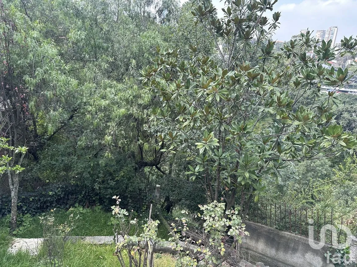 Casa en Venta en Campestre Palo Alto, Cuajimalpa de Morelos, Ciudad de México | NEX-277112 | iad México | Foto 8 de 16