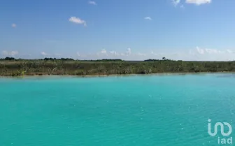 NEX-278672 - Terreno en Venta en Bacalar, CP 77930, Quintana Roo.