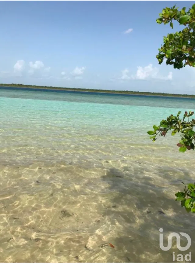 Terreno en Venta en Buenavista, Bacalar, Quintana Roo | NEX-278675 | iad México | Foto 3 de 10