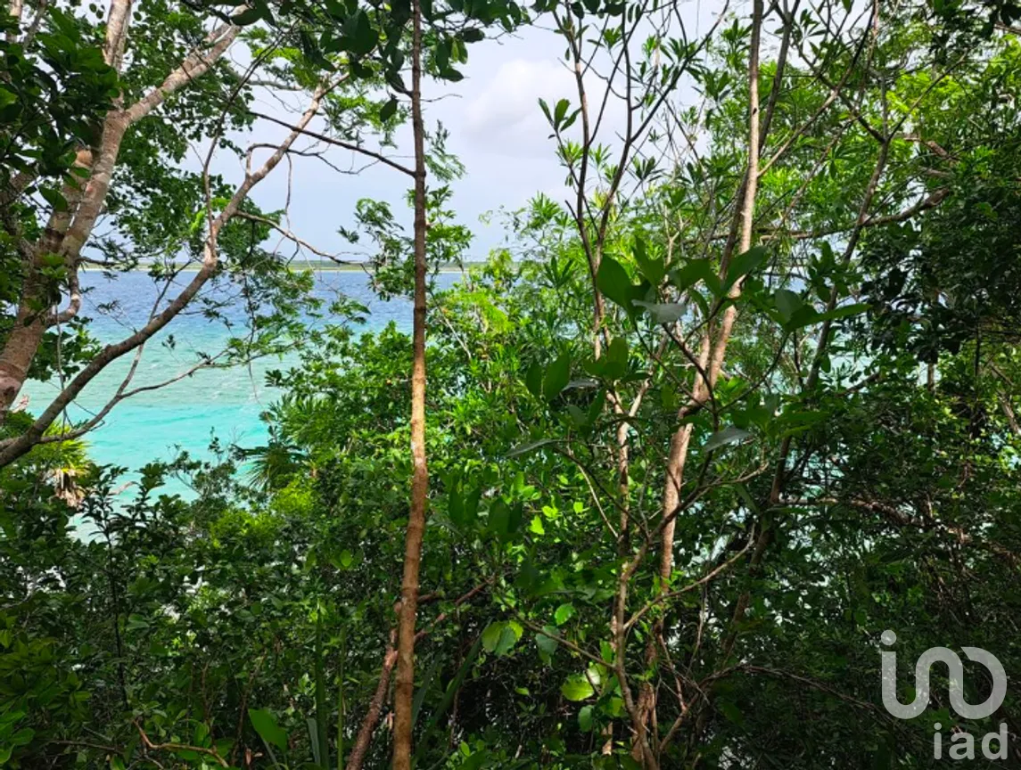 Terreno en Venta en Buenavista, Bacalar, Quintana Roo | NEX-278675 | iad México | Foto 4 de 10