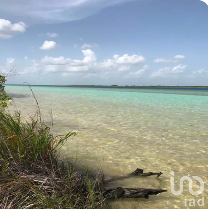 Terreno en Venta en Buenavista, Bacalar, Quintana Roo | NEX-278675 | iad México | Foto 5 de 10