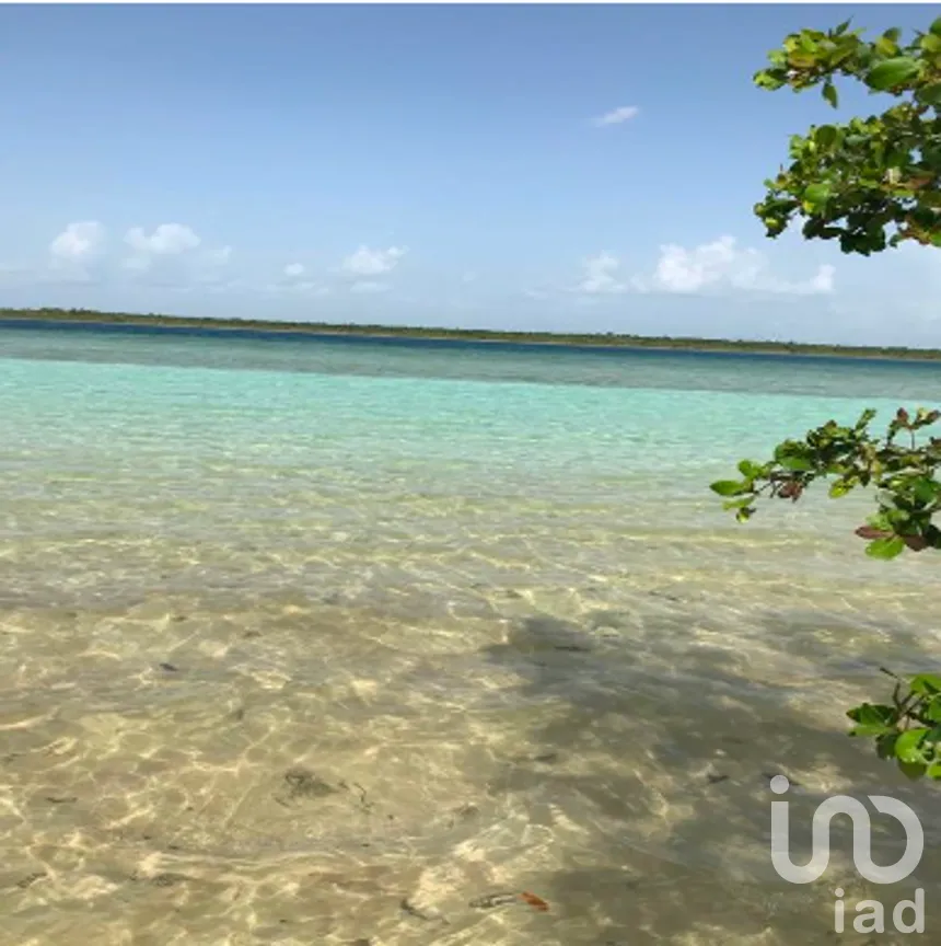 Terreno en Venta en Buenavista, Bacalar, Quintana Roo | NEX-278675 | iad México | Foto 7 de 10