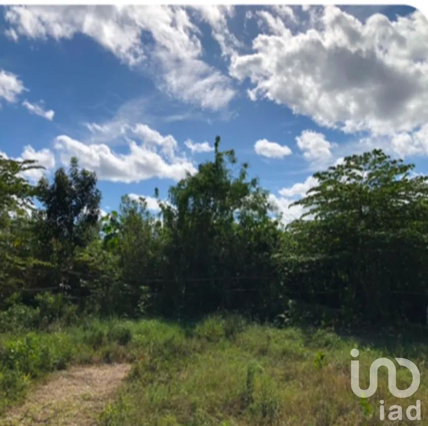 Terreno en Venta en Cancún Centro, Benito Juárez, Quintana Roo | NEX-278683 | iad México | Foto 2 de 9