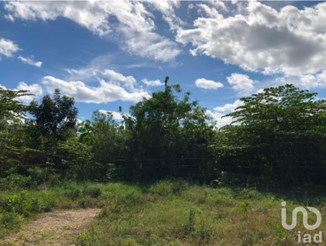 Terreno en Venta en Cancún Centro, Benito Juárez, Quintana Roo | NEX-278683 | iad México | Foto 6 de 9