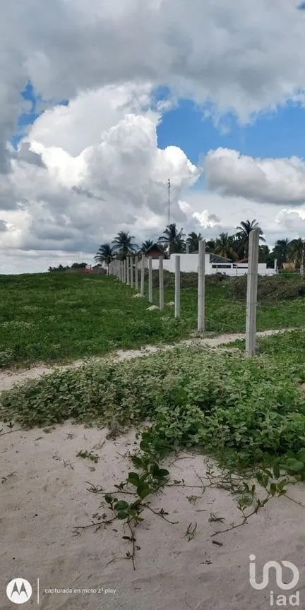 Terreno en Venta en Sisal, Hunucmá, Yucatán | NEX-229591 | iad México | Foto 2 de 11