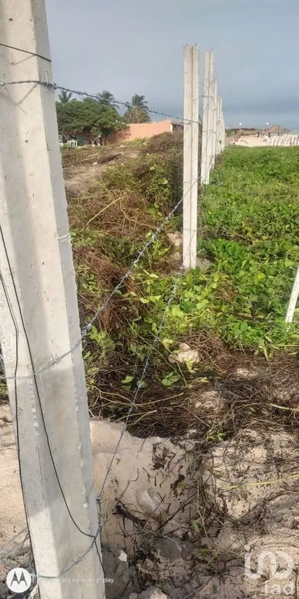 Terreno en Venta en Sisal, Hunucmá, Yucatán | NEX-229591 | iad México | Foto 3 de 11