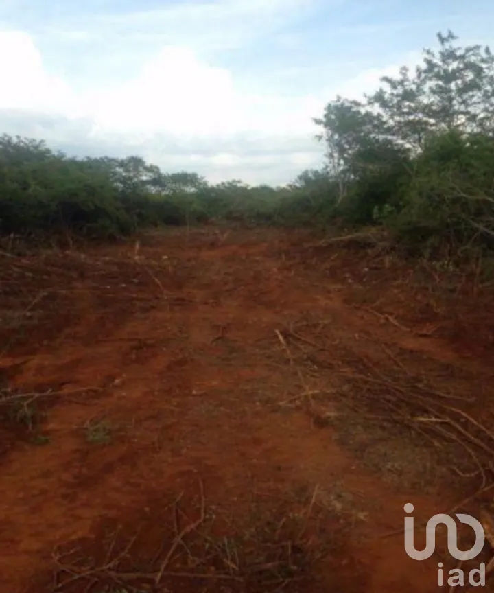 Terreno en Venta en Dzununcán, Mérida, Yucatán | NEX-229594 | iad México | Foto 3 de 3