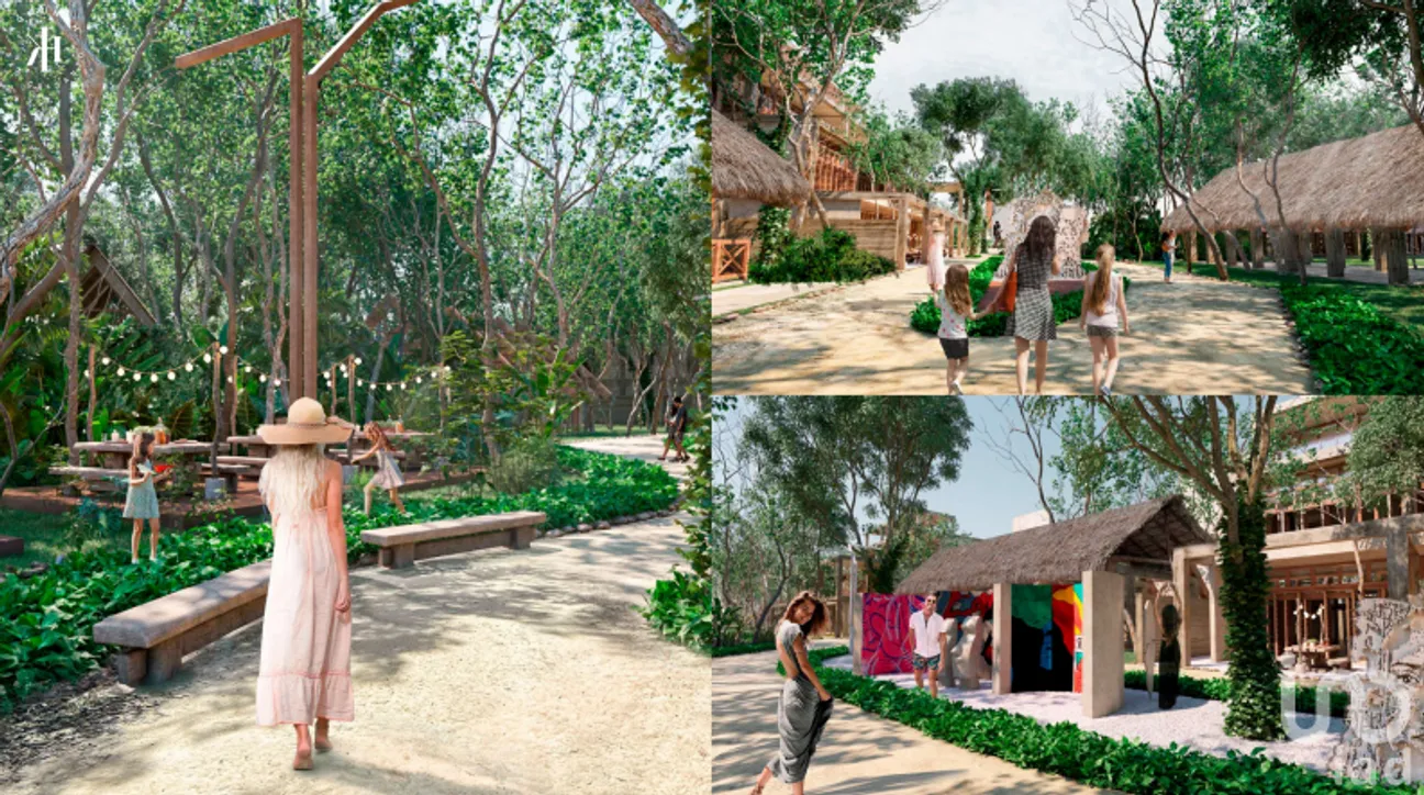 Terreno en Venta en San Crisanto, Sinanché, Yucatán | NEX-229596 | iad México | Foto 13 de 24