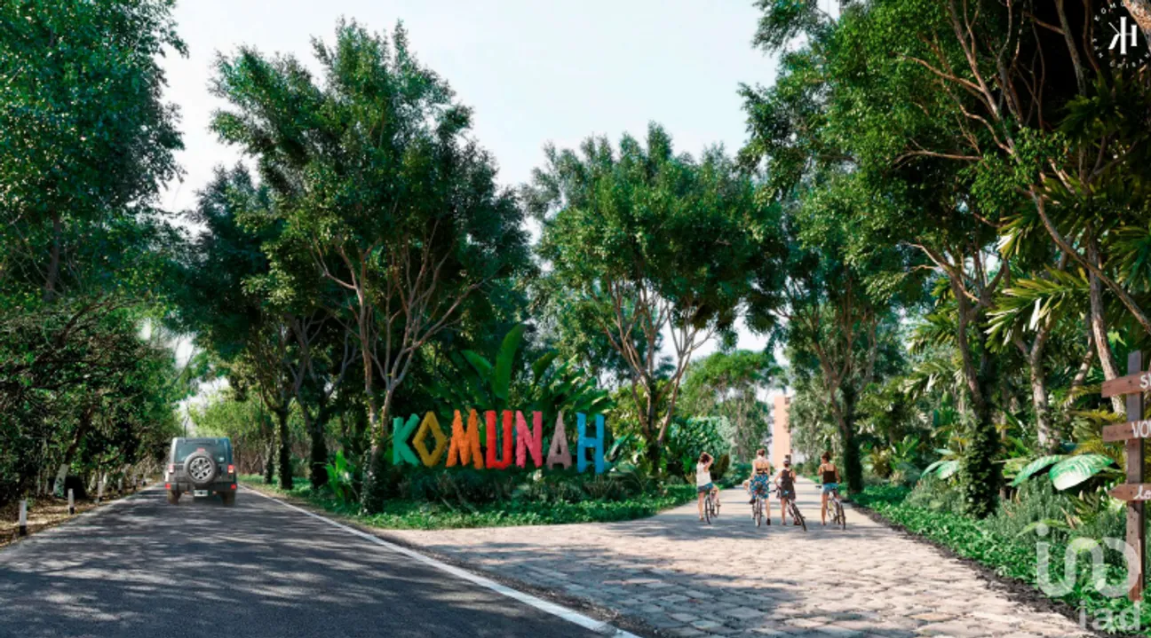 Terreno en Venta en San Crisanto, Sinanché, Yucatán | NEX-229596 | iad México | Foto 4 de 24