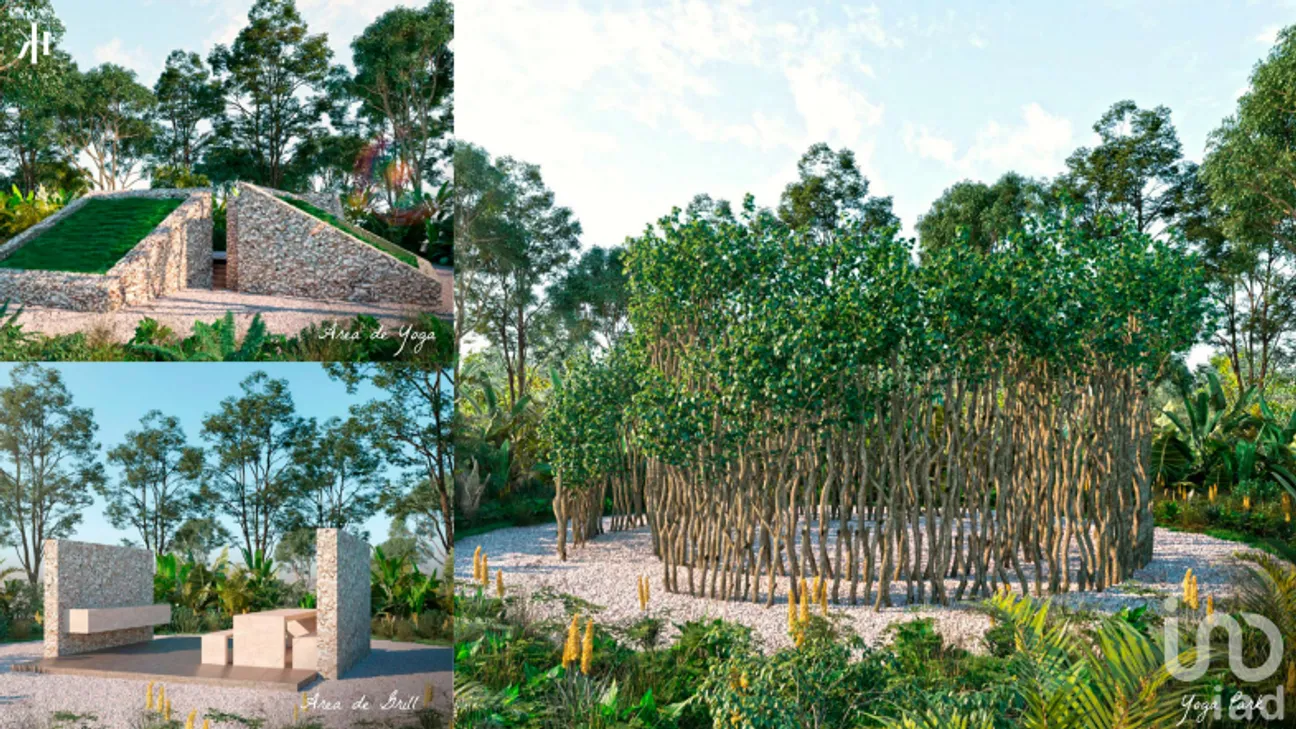 Terreno en Venta en San Crisanto, Sinanché, Yucatán | NEX-229596 | iad México | Foto 10 de 24