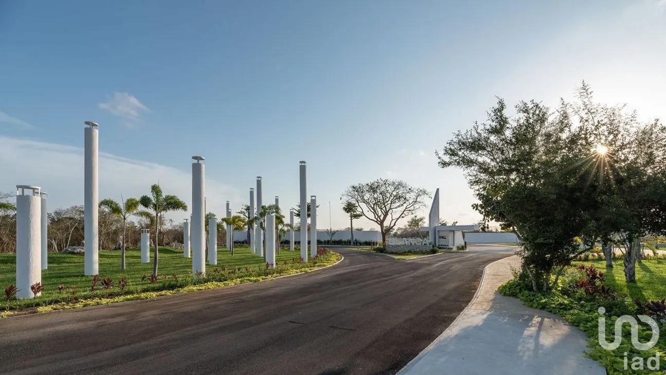 Terreno en Venta en Kikteil, Mérida, Yucatán | NEX-229601 | iad México | Foto 12 de 30