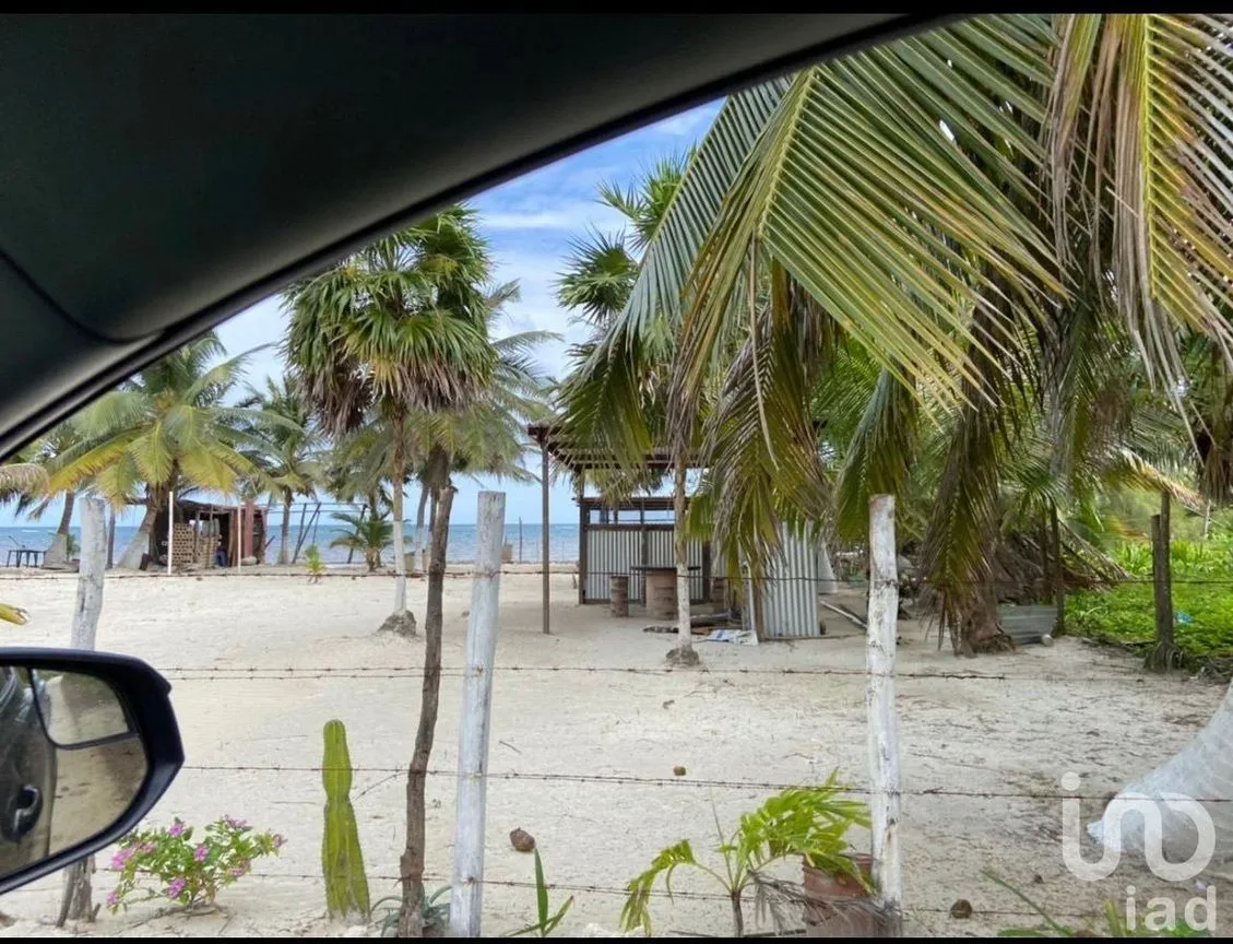 Terreno en Venta en Mahahual, Othón P. Blanco, Quintana Roo | NEX-229609 | iad México | Foto 1 de 3
