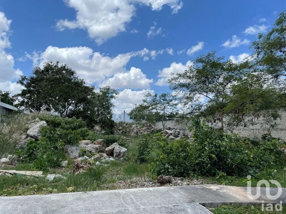 Terreno en Venta en Conkal, Conkal, Yucatán | NEX-229617 | iad México | Foto 8 de 8