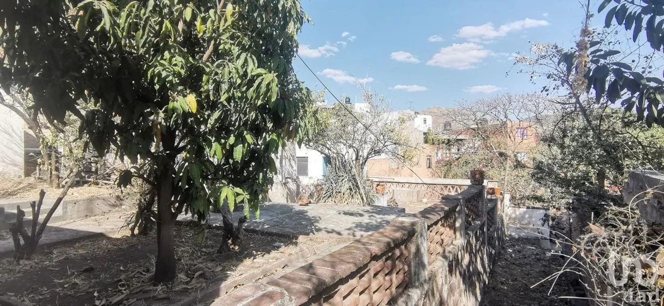 Terreno en Venta en Garrapata, Guanajuato, Guanajuato | NEX-115837 | iad México | Foto 6 de 30