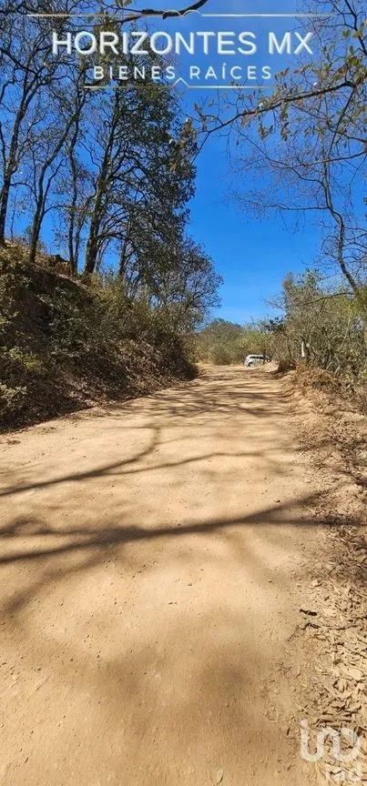 Terreno en Venta en Santa Rosa de Lima, Guanajuato, Guanajuato | NEX-226952 | iad México | Foto 2 de 18
