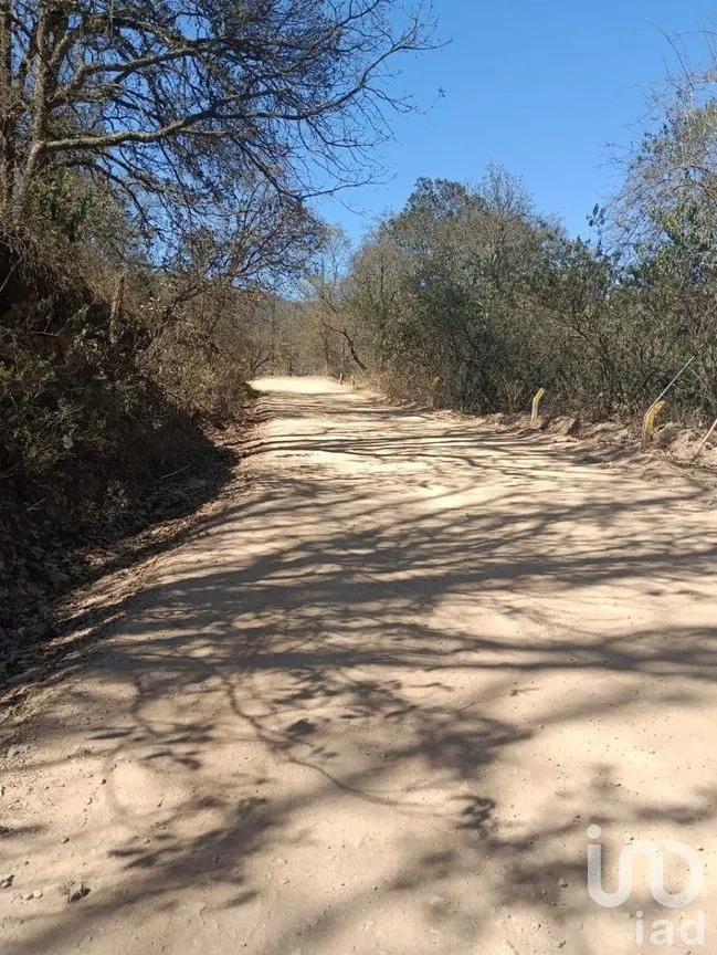 Terreno en Venta en Santa Rosa de Lima, Guanajuato, Guanajuato | NEX-226952 | iad México | Foto 15 de 18