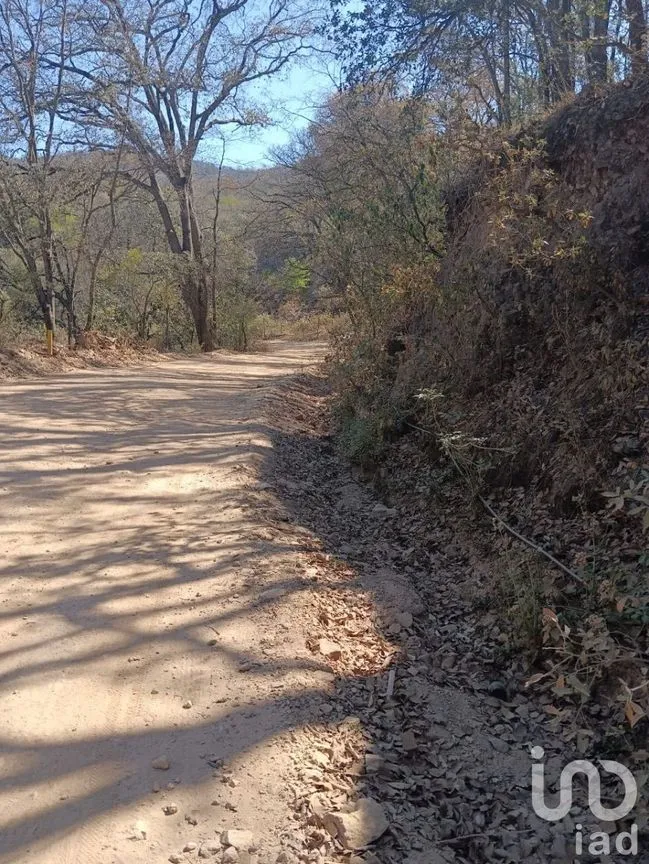 Terreno en Venta en Santa Rosa de Lima, Guanajuato, Guanajuato | NEX-226952 | iad México | Foto 16 de 18