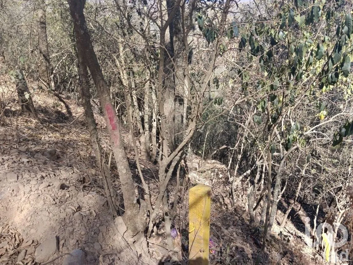 Terreno en Venta en Santa Rosa de Lima, Guanajuato, Guanajuato | NEX-226952 | iad México | Foto 17 de 18