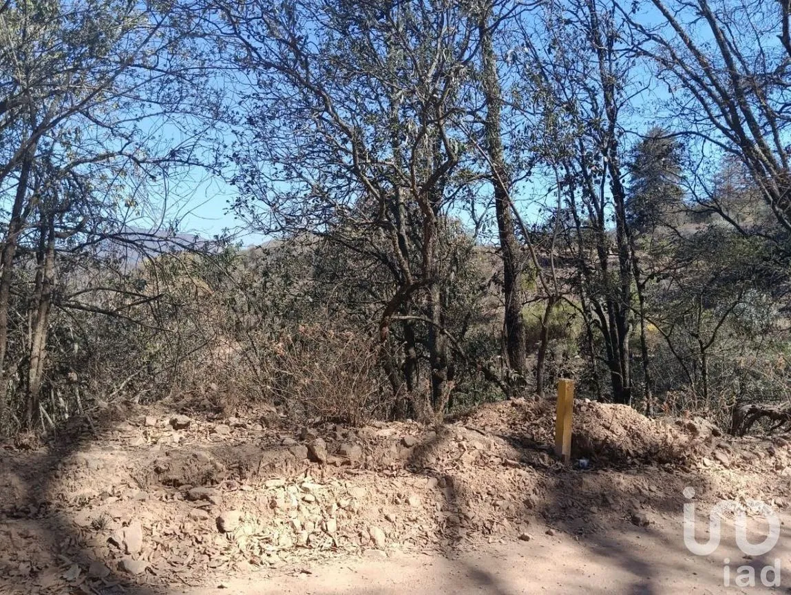 Terreno en Venta en Santa Rosa de Lima, Guanajuato, Guanajuato | NEX-226952 | iad México | Foto 18 de 18