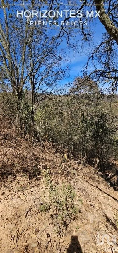 Terreno en Venta en Santa Rosa de Lima, Guanajuato, Guanajuato | NEX-226952 | iad México | Foto 3 de 18
