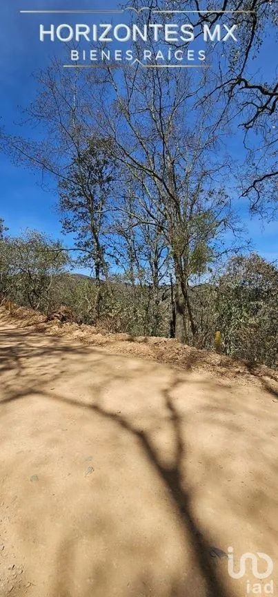Terreno en Venta en Santa Rosa de Lima, Guanajuato, Guanajuato | NEX-226952 | iad México | Foto 6 de 18