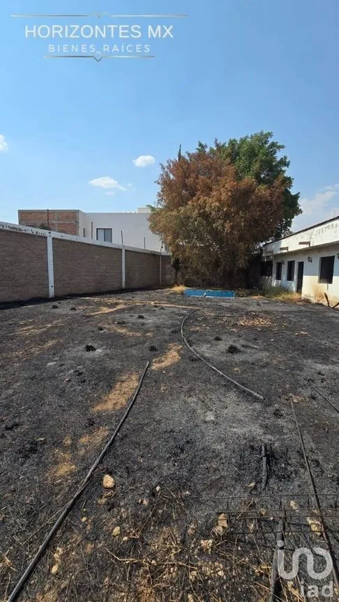 Terreno en Venta en Yerbabuena, Guanajuato, Guanajuato | NEX-226961 | iad México | Foto 3 de 12