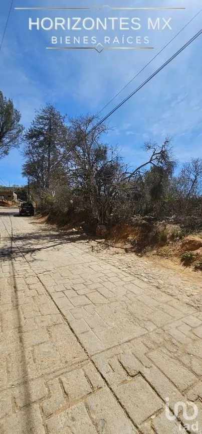 Terreno en Venta en Santa Rosa de Lima, Guanajuato, Guanajuato | NEX-228145 | iad México | Foto 8 de 9