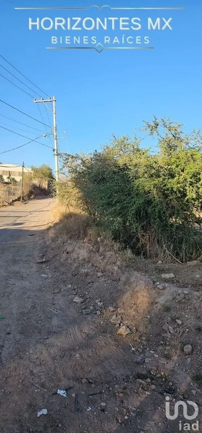Terreno en Venta en Yerbabuena, Guanajuato, Guanajuato | NEX-228146 | iad México | Foto 7 de 8