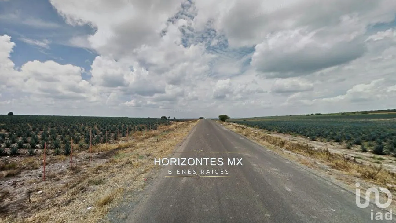 Terreno en Venta en Santa Ana del Conde, León, Guanajuato | NEX-229393 | iad México | Foto 3 de 6