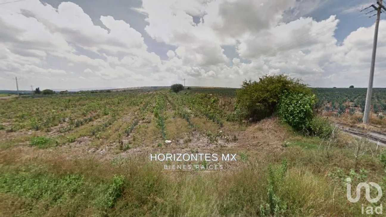 Terreno en Venta en Santa Ana del Conde, León, Guanajuato | NEX-229393 | iad México | Foto 4 de 6