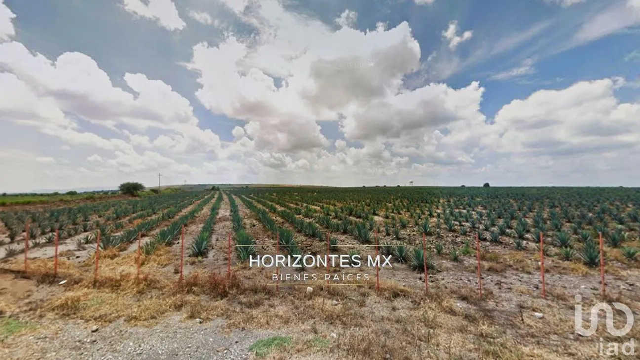 Terreno en Venta en Santa Ana del Conde, León, Guanajuato | NEX-229393 | iad México | Foto 6 de 6