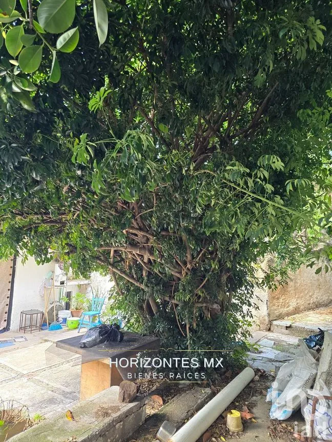 Casa en Venta en Guanajuato Centro, Guanajuato, Guanajuato | NEX-229794 | iad México | Foto 41 de 41