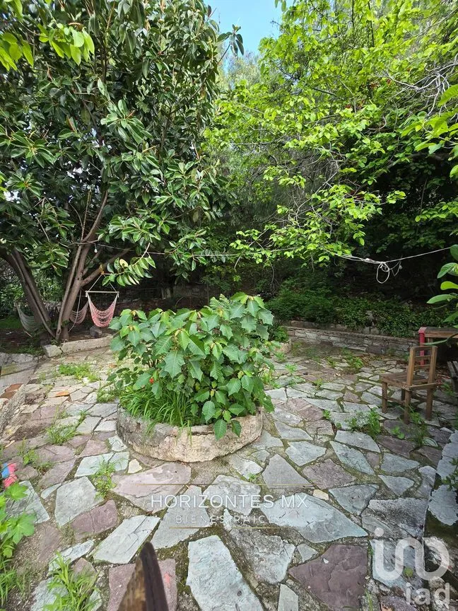 Casa en Venta en Guanajuato Centro, Guanajuato, Guanajuato | NEX-229797 | iad México | Foto 33 de 41