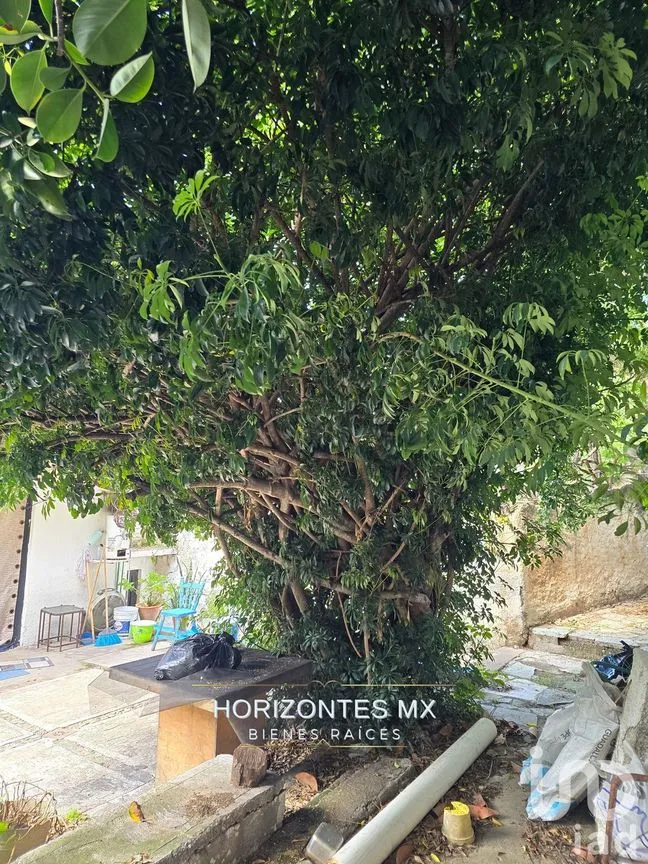 Casa en Venta en Guanajuato Centro, Guanajuato, Guanajuato | NEX-229797 | iad México | Foto 41 de 41