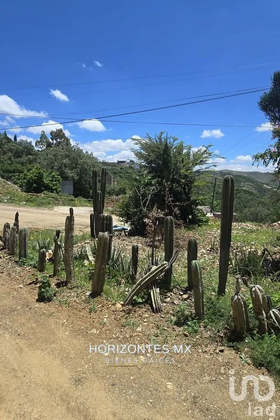 Casa en Venta en Filtros de Valenciana, Guanajuato, Guanajuato | NEX-229846 | iad México | Foto 41 de 46