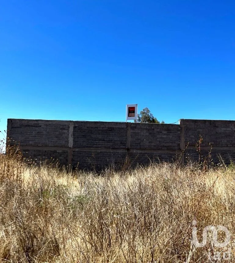 Terreno en Venta en Yerbabuena, Guanajuato, Guanajuato | NEX-230153 | iad México | Foto 5 de 18